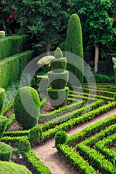 Decorative green park - Botanical garden Funchal, photo