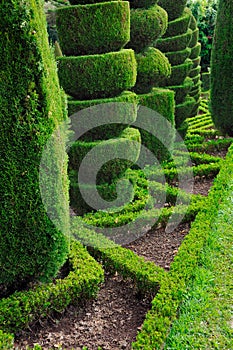 Decorative green park - Botanical garden Funchal, photo