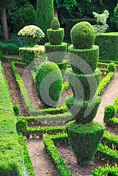 Decorative green park â€“ Botanical garden,