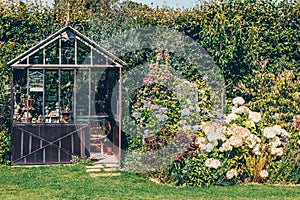 Decorative greenhouse in landscaped garden in summer