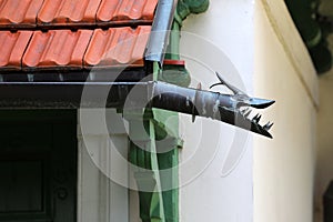 Decorative gutter end in the shape of a dragon`s head.