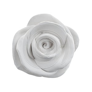 Decorative gypsum white rose isolated