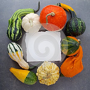 Decorative Halloween and autumn frame with pumpkins on rusty gray background. Owerhad view