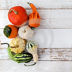 Decorative Halloween and autumn frame with pumpkins on white wooden background. Owerhad view