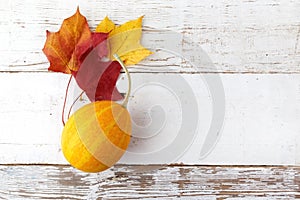 Decorative Halloween and autumn frame with pumpkins on white wooden background. Owerhad view