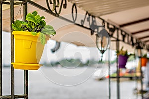 Decorative hanging flower pots