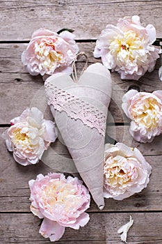 Decorative heart and pink peonies flowers