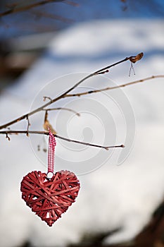 Decorative heart on a tree branch for Valentine's Day.