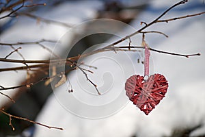 Decorative heart on a tree branch for Valentine's Day.