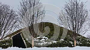 The decorative hill in the city park is covered with evergreen shrubs.The decorative hill in the city park is covered with evergre