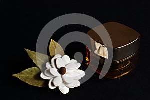 Decorative homemade flower from white pumpkin seeds, decorated with black peppercorns and bay leaves and face cream on black