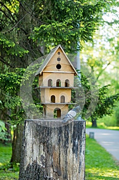 Decorative house for birds in the recreation Park.