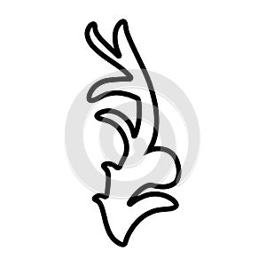 Decorative icon vector set. Ornaments elements illustration sign collection. Decorative elements symbol or logo.