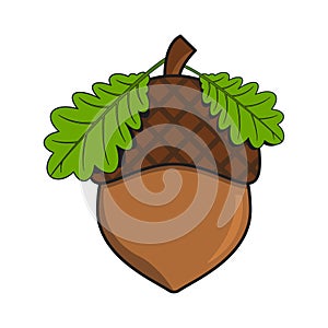 Decorative illustration of acorn with green fresh oak leaves