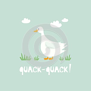 Decorative illustration with goose, grass, sky, english text. Quack - quack! Colorful cute background, funny bird photo