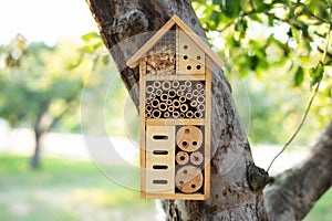 Decorative Insect house with compartments and natural components in a summer garden. Wooden insect house decorative bug hotel, lad