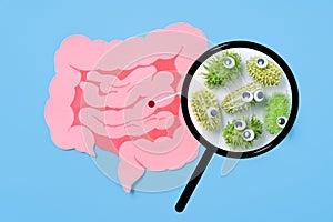 Decorative intestine and magnifying glass showing harmful bacteria inside the intestine. The concept of probiotics and prebiotics photo