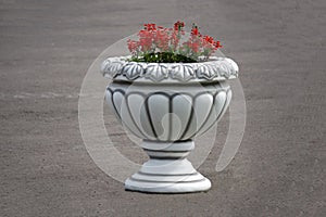 Decorative iron garden urn with pink flowers