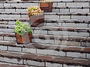 Potted flowers on granite steps. city decor