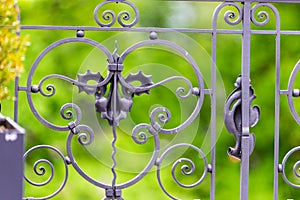 Decorative ironwork design photo