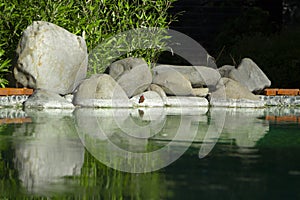 Decorative koi pond in a garden