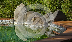 Decorative koi pond in a garden