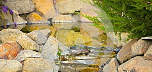 Decorative koi pond in a garden