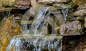 Decorative koi pond in a garden