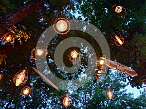 Decorative lamps on the trees.