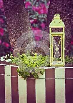 Decorative lantern on the background of a flowering tree.