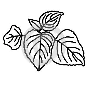 Decorative leaf pattern in hand-drawn line style. Suitable for eco-branding