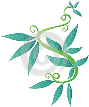 Decorative leaves