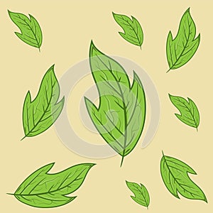 Decorative leaves collection for many uses