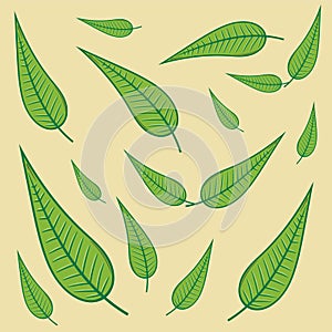 Decorative leaves collection for many uses