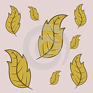 Decorative leaves collection for many uses