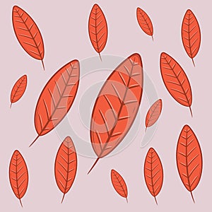 Decorative leaves collection for many uses