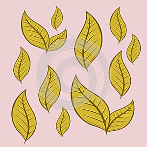 Decorative leaves collection for many uses