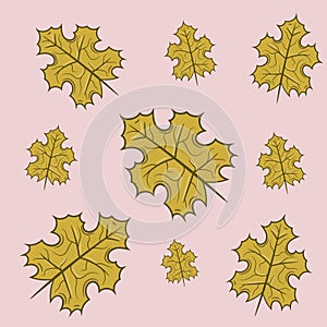 Decorative leaves collection for many uses