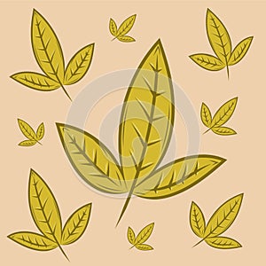 Decorative leaves collection for many uses