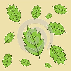 Decorative leaves icon collection for many uses