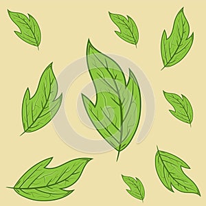 Decorative leaves illustration collection for many uses