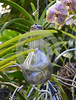 Decorative light bulb hanging on rope against background of green leaves and light purple motley orchids