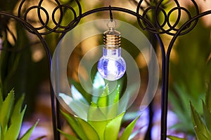 The decorative light in the garden. Lost in green grass new mini powerful flashlight. Small lamp
