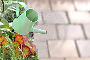 Decorative watering can in flower pot