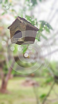 Decorativo pequeno casa en jardín. observación de aves sobre el visita 