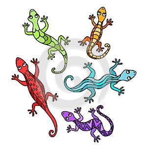 Decorative lizards