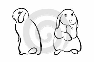 decorative lop-eared rabbit black line