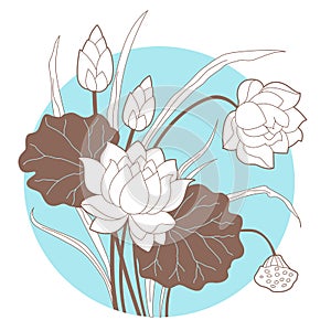 Decorative Lotus flower
