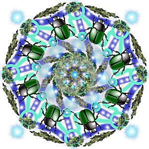 Decorative Mandala with a bugs