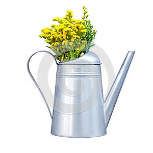 Decorative metal watering-can with yellow wildflowers isolated